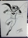 Filename=C2E2_2014_Batgirl.jpg
Filesize=101KiB
Dimensions=417x554
Date added=Mar 23, 2015 C2E2_2014_Batgirl.jpg