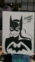 Filename=CCE_2014_Batgirl.jpg
Filesize=53KiB
Dimensions=543x960
Date added=Mar 23, 2015 CCE_2014_Batgirl.jpg