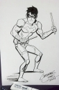 Filename=Denver_Comic_Con_2014_Nightwing.jpg
Filesize=192KiB
Dimensions=541x807
Date added=Mar 23, 2015 Denver_Comic_Con_2014_Nightwing.jpg