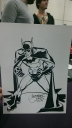 Filename=Fallcon_2014_Batman.jpg
Filesize=57KiB
Dimensions=543x960
Date added=Mar 23, 2015 Fallcon_2014_Batman.jpg