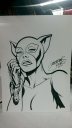Filename=GRCC_2014_Cat_Woman.jpg
Filesize=56KiB
Dimensions=543x960
Date added=Mar 23, 2015 GRCC_2014_Cat_Woman.jpg