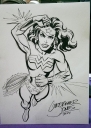 Filename=Geek_Kon_2014_Wonder_Woman.jpg
Filesize=296KiB
Dimensions=543x762
Date added=Mar 23, 2015 Geek_Kon_2014_Wonder_Woman.jpg