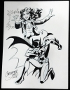 Filename=NYCC_2013_Zatanna_Batgirl.jpg
Filesize=210KiB
Dimensions=501x639
Date added=Mar 23, 2015 NYCC_2013_Zatanna_Batgirl.jpg